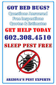 Bills pest control phoenix az. Bill S Pest Termite Control Phoenix Arizona Proview