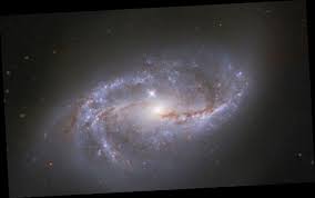 Es un subtipo de galaxia espiral, caracterizados por la presencia de una barra central de la que típicamente parten dos brazos espirales. Nasa S Hubble Telescope Snaps Crystal Clear Image Of Distant Galaxy Wsbuzz Com