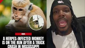 HoldOnForASecond: What kind of fighting is this?? 🤼 #ActionJaxon #Comedy