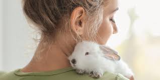 Emailing around to find the best one or having to bring your own products into the salon for the stylist to use on you. Cruelty Free Hair Dye From Madison Reed