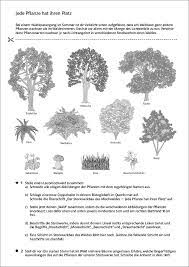 Ernst Klett Verlag Natura Biologie Ausgabe Bayern Gymnasium Ab 2017 Lehrwerk Einstieg
