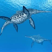 It's actually sad to see people who disagree with megalodon winning the fight with an animal get basically attacked and being called megalodon hater by fanboys, not only for megalodon vs mosasaurus but for animals like the blue whale and aust colossus would defeat a megalodon. This Giant Ichthyosaur Might Have Been Bigger Than A Blue Whale Nature And Wildlife Discovery