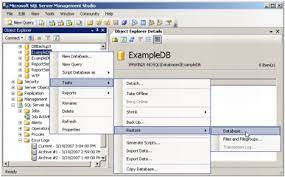 Restoring From Ms Sql Server 2005 Full On-Demand Backups - Common Content -