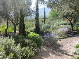 jardin mediterraneen beaux jardins amenagement jardin