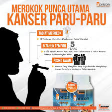 Kanker ini lebih banyak dialami oleh orang yang memiliki kebiasaan merokok dan merupakan satu dari tiga jenis. Farmashealth Twitterren Merokok Punca Utama Kanser Paru Paru Apricon Tiroid Thyroid Institutkansernegara Purelive Farmashealth Kanser Vitaminb17 Amygdalin Ubatkanser Kesihatan Cyst Fibroid Rawatanalternatifkanser Rawatankanser