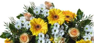 The free places are good since you don't have to pay anything to make. Places To Buy Flowers Near Me Easy Online Flowers