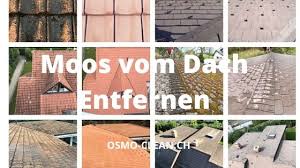 Moos Auf Dem Dach Moos Vom Dach Entfernen Osmo Clean