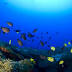 Proposal would expand marine conservation area in Northwest ...