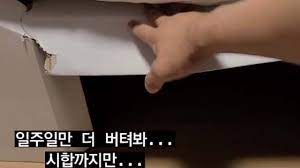 찢어진 골판지 침대 올린 진윤성···日 일부러. 7npvbbrum56bxm