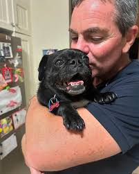 Lara Lowndes (@laralowndes) • Threads, Say more