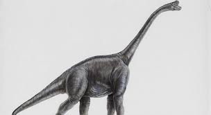 Pipeye, peepeye, pupeye, and poopeye. Which Dinosaur Is This Trivia Questions Quizzclub