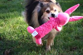 Smart Pet Love Tender Tuffs Shaggy Red Rabbit Tough Dog Toy Play Fetch Or Tugofwar Proprietary Tearblok Technology Puncture Dog Toys Tough Dog Toys Dogs