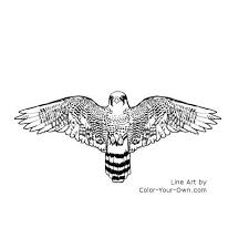 Art Birds Of Prey Logo Peregrine Falcon Coloring Page Falcon Drawing Black Bird Tattoo Falcon Tattoo