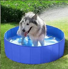Piscine Pour Chien Au Meilleur Prix Large Assortiment