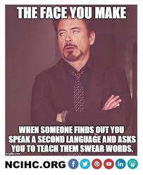 National Council On Interpreting In National Council On Interpreting In Health Care Ncihc Bilingual Humor Languages Online Teacher Humor