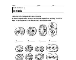 Other results for onion root tip mitosis lab answer key: Meiosis Worksheet Answer Key Biology Meiosis Pogil Activity Answer Key Jan 2017 Reader Reporter Recorder Chromosome Structure Mitosis And Meiosis With Answer Key Model 1 Chromosome Course Hero The Locations