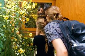 Praktische Bienenkunde So Werden Studenten Zu Imkern Blogseminar