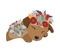Line drawing of silly dog. Drawing Pen Dog Face Macaque Portrait With Beautiful Flowers On The Head Floral Wreath 339813 Vector Art At Vecteezy
