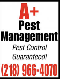 Make sure that your entire family is safe & healthy by eliminating all kinds of pests. Pest Control Guaranteed A Pest Management