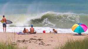 10 Top Things To Do In Vero Beach Fl 2021 Attraction Activity Guide Expedia