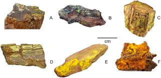 With finger tip motion, you can overall. Geosciences Free Full Text Uranium Mineralization Of Fossil Wood Html