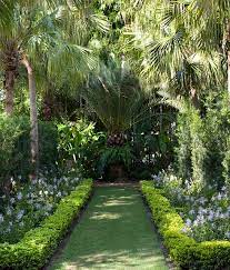 Palm Garden Design By Fernando Wong Miami Palm Garden Minimalist Garden Low Maintenance Garden Design