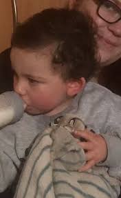 Lost blue bag with Scouts blanket and book at summer camp