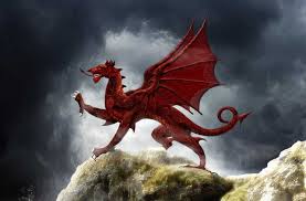 Click details for a full product review. Welsh Dragons Everything You Need To Know Spooky Isles