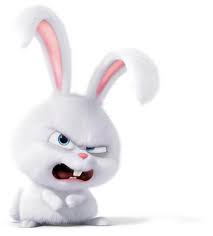 snowball the secret life of pets cute bunny cartoon cute disney wallpaper cute cartoon images