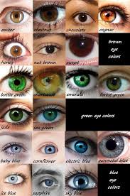 Eye Color Cool Stuff Writing Help Eye Color Chart Y