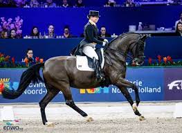 2 behind bella rose 2. Funfter Sieg Fur Isabell Werth Und Weihe In Amsterdam Equestrian Worldwide Pferdesport Weltweit Eqwo Net