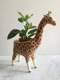 Giraffe Art Giraffe Art Zoo Animals Giraffe Decor Animal Decor Giraffe Art