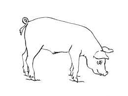 epingle sur coloriage animaux tout le meilleur pour les futurs coloriages