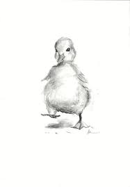 Duckling Original Charcoal Drawing Hand Drawn Little Duck Illustration Baby Animal Nursery Blac Baby Animal Drawings Charcoal Drawing Animals Duck Illustration