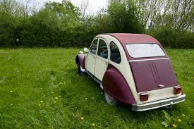 Image result for Plum 2011 Citroen