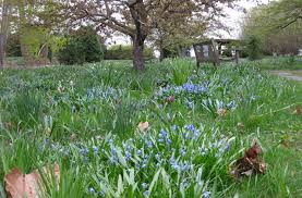 We did not find results for: Planting Fall Bulbs The Bruce Company Middleton Wi