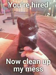 Animal memes are roaming all over the grassy plains of the internet. Clean Animal Memes