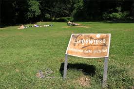 See what's available when you stop in for a visit. Der Grosse Tiergarten In Berlin