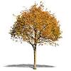 Thousands of high quality photoshop cut outs, with no background, ready to paste into your image. 1