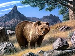 Check spelling or type a new query. School Art Bear Painting Sun Bear Print Bear Decor Bear Art Wildlife Art Animal Art Homeschool Poster Natural Illustration Art Collectibles Prints Delage Com Br