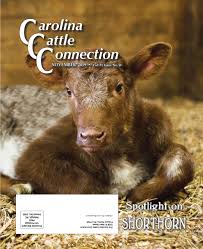 Com to schedule a free, no obligation estimate. The Carolina Cattle Connection Volume 33 Issue No 11 November 2019 By Carolinacattleconnection Issuu