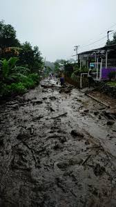 Banjir kalsel diperkirakan seluas 200 ribu hektare. Npc4090hboj Rm