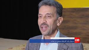 ویدیو: مسوولان محلی در هرات می‌گویند که در هفته‌های اخیر، نزدیک به سیزده  هزار مهاجر افغان اخراج‌شده از ایران، در شهرک صنعتی این ولایت مشغول به کار  شده‌اند., گزارش از نصیراحمد صالحی, #طلوع‌نیوز