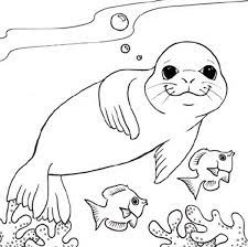 Download and print these baby seal coloring pages for free. 40 Seal Coloring Pages Ideas Coloring Pages Coloring Pictures Online Coloring