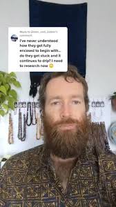 How Insects in Amber are Formed