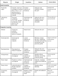 Check spelling or type a new query. 11 4 Identify The Skeletal Muscles And Give Their Origins Insertions Actions And Innervations Anatomy Physiology