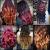 Brown Beautiful Hair Color