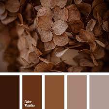 Color Palette 2423 Brown