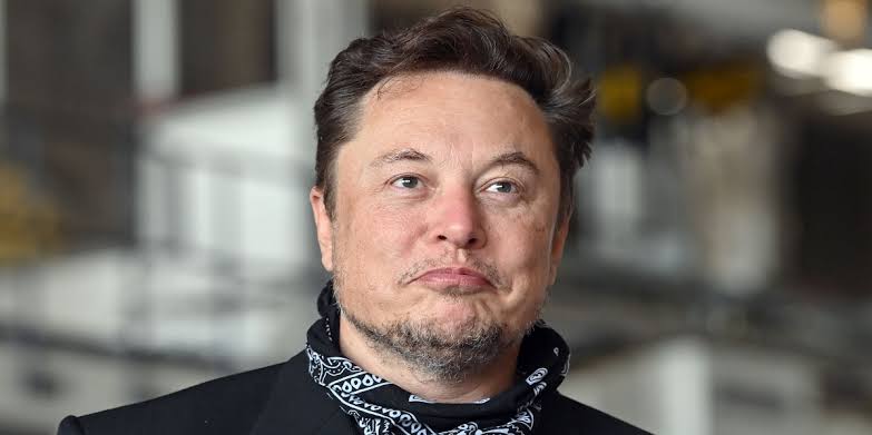 Elona Musk