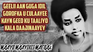 NAGRUUMA Eagle Media Pro Classics